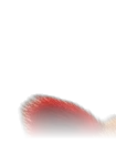 Left Ear
