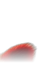 Right Ear