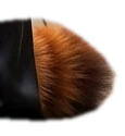 Tail